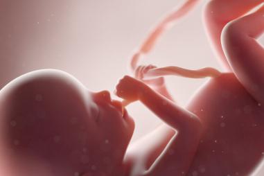 Unborn-baby-1-810x500.jpeg
