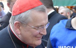 Cardinal_Burke_-_March_for_Life.jpg