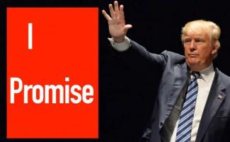 Trump-I-promisew_810_500_75_s_c1.jpg