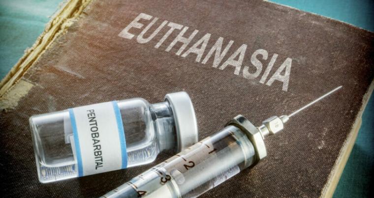 Euthanasia-e1707394222445-810x500.jpg