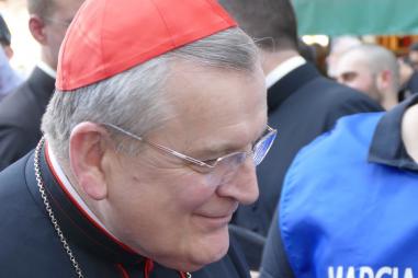 Cardinal_Burke_-_March_for_Life.jpg