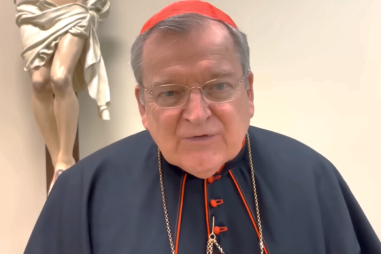 Cardinal-Burke-810x500.png