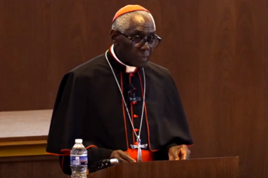 Cardinal-Sarah-CUA-810x500.png