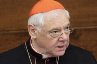 Cardinal_Gerhard_Müller_-_by_Diane_Montagna_correct_size-810x500.jpg