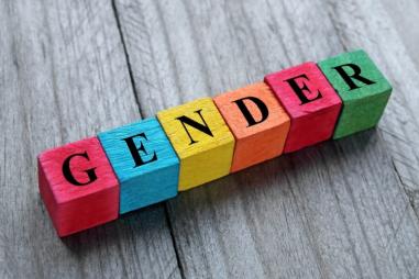 Gender_colored_blocks-810x500.jpg