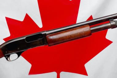 Gun-confiscation-in-Canada-810x500.jpg
