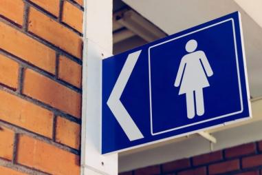 Ladies_womens_bathroom_sign-810x500.jpg