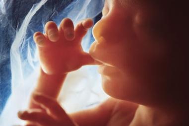 preborn_baby__womb__fetus-810x500.jpg