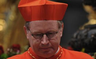 Cardinal_willem_eijk1_810_500_75_s_c1.jpg