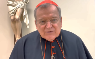 Cardinal-Burke-810x500.png