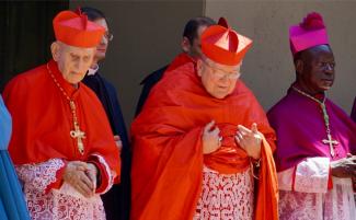 Cardinal-Simoni.jpg