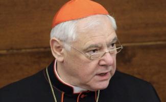 Cardinal_Gerhard_Müller_-_by_Diane_Montagna_correct_size-810x500.jpg