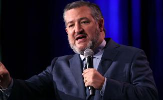 Cruz-810x500.jpg