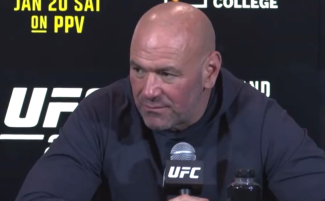 Dana-White-810x500.png