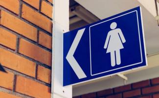 Ladies_womens_bathroom_sign-810x500.jpg