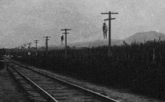 SUBMISSION-Catholics-hanged-by-the-Mexican-government-along-railroad-tracks-near-Zapotlan-el-Grande-City-Guzman-in-Jalisco-810x500.jpg