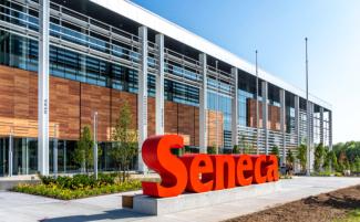 Seneca-810x500.jpeg