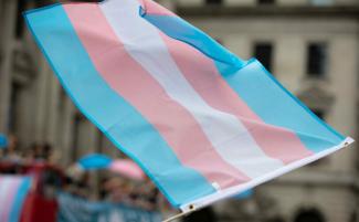 Transgender-flag-1-e1705405664277-810x500.jpeg