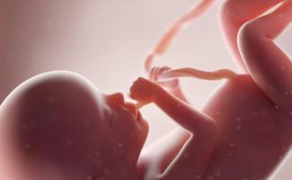 Unborn-baby-1-810x500.jpeg