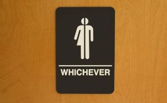 whichever_gender_neutral_bathroom-e1738254340657-810x500.jpg