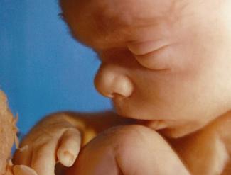 unborn-baby2_682.jpg